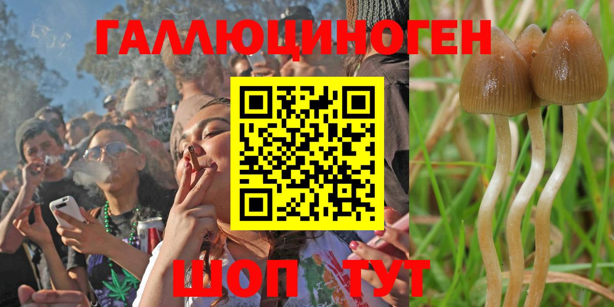 Псилоцибиновые грибы MAGIC MUSHROOMS Салехард
