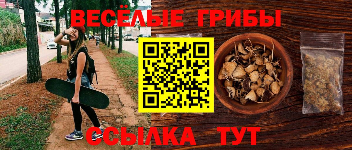 Галлюциногенные грибы Magic Shrooms  Вход с VPN  Псилоцибиновые грибы GOLDEN TEACHER  Салехард 